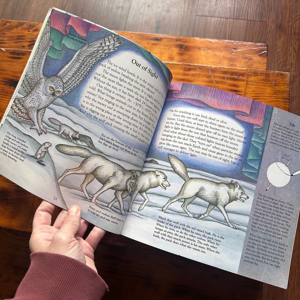 Vintage 1994 One Small Square Arctic Tundra Paperback Book - Picture 6 of 11